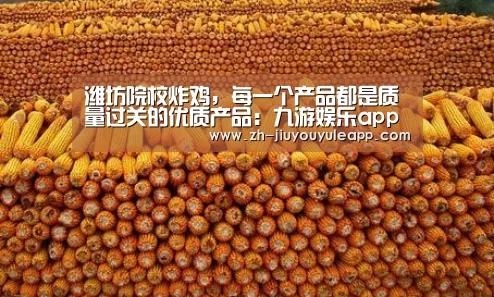 潍坊院校炸鸡,每一个产品都是质量过关的优质产品:九游娱乐app(图1) 九游娱乐app