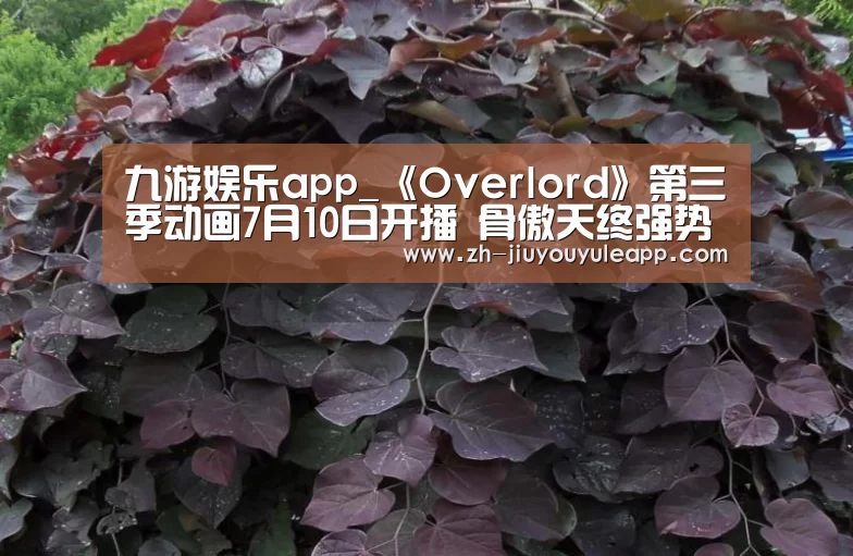 九游娱乐app_《Overlord》第三季动画7月10日开播 骨傲天终强势称王(图4) 九游娱乐app