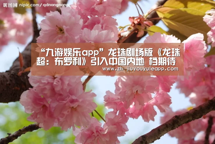 “九游娱乐app”龙珠剧场版《龙珠超:布罗利》引入中国内地 档期待定(图2) 九游娱乐app